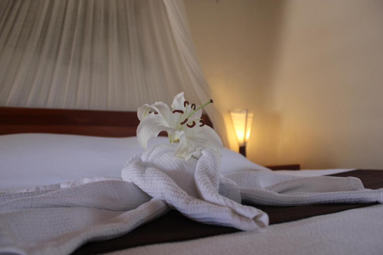 Hotel Piedra Escondida تولوم المظهر الخارجي الصورة