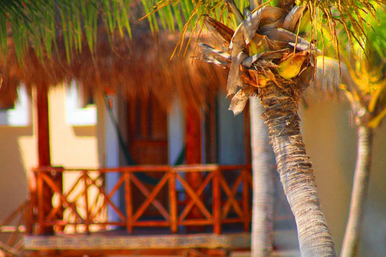 Hotel Piedra Escondida تولوم المظهر الخارجي الصورة